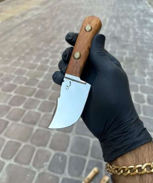 تیزی محمدی