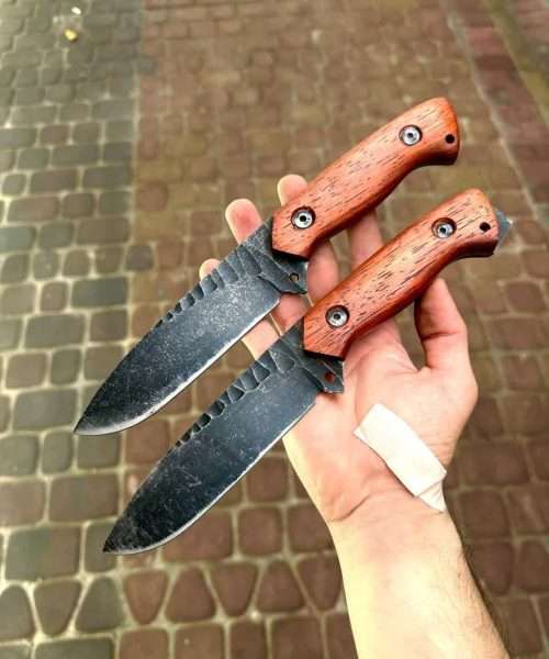بوشکرفت زنبوری