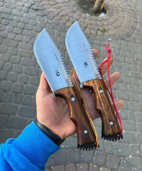بوشکرفت نوری