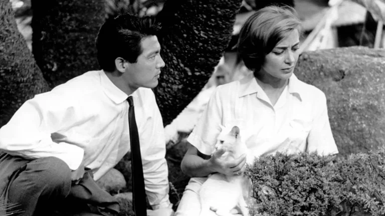 hiroshima mon amour war movie