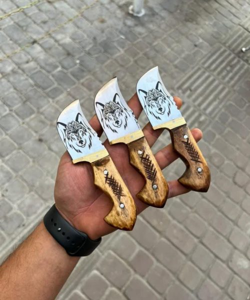 تیزی گرگی