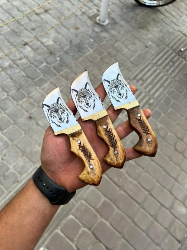 تیزی گرگی