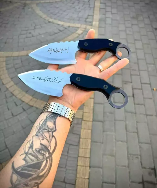 تیزی سکوت گرگ