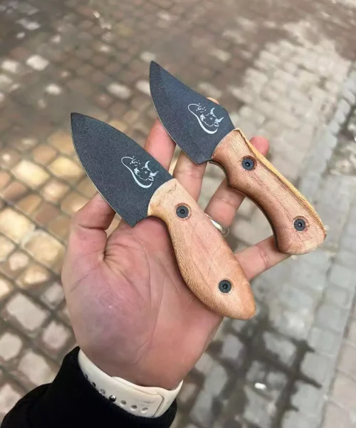 تیزی برنا