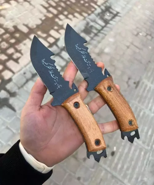تیزی لشگری