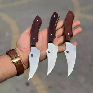تیزی سورن