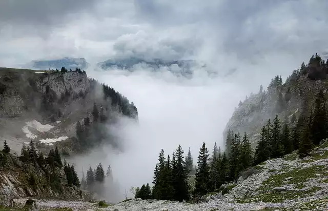 mounweb