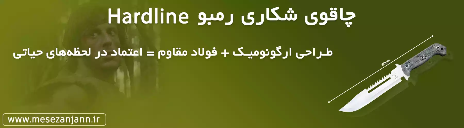 banner micro web