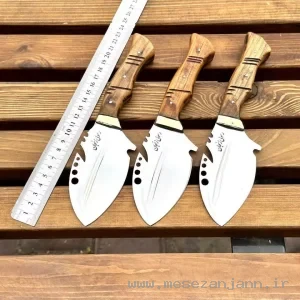 تیزی مدل سوسماری